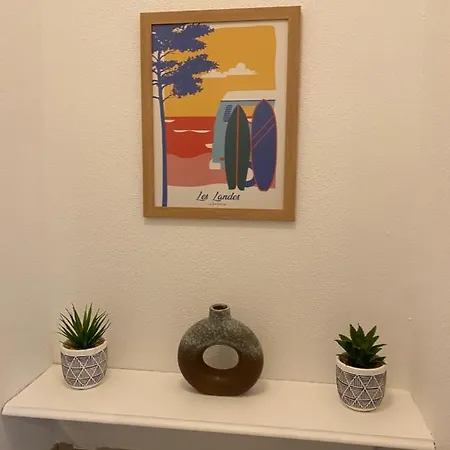 Cozy Appartement En Plein Coeur De Dax Fontaine Chaude Extérieur photo